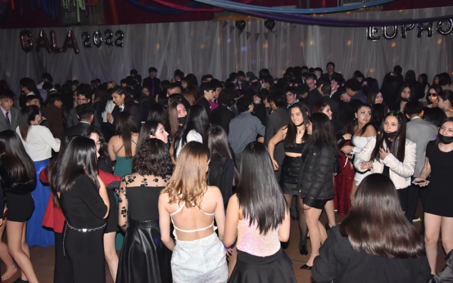 Fiesta de online gala